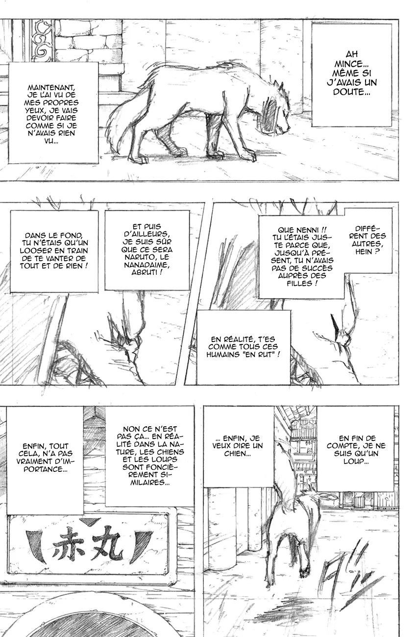 Naruto - 700.2 - 65537ec925de5.webp