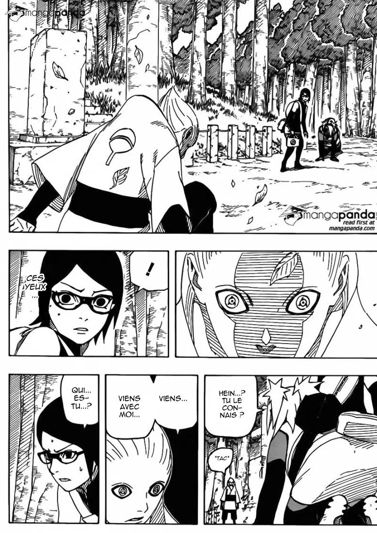 Naruto - 703 - 65537ed4c7ce0.webp