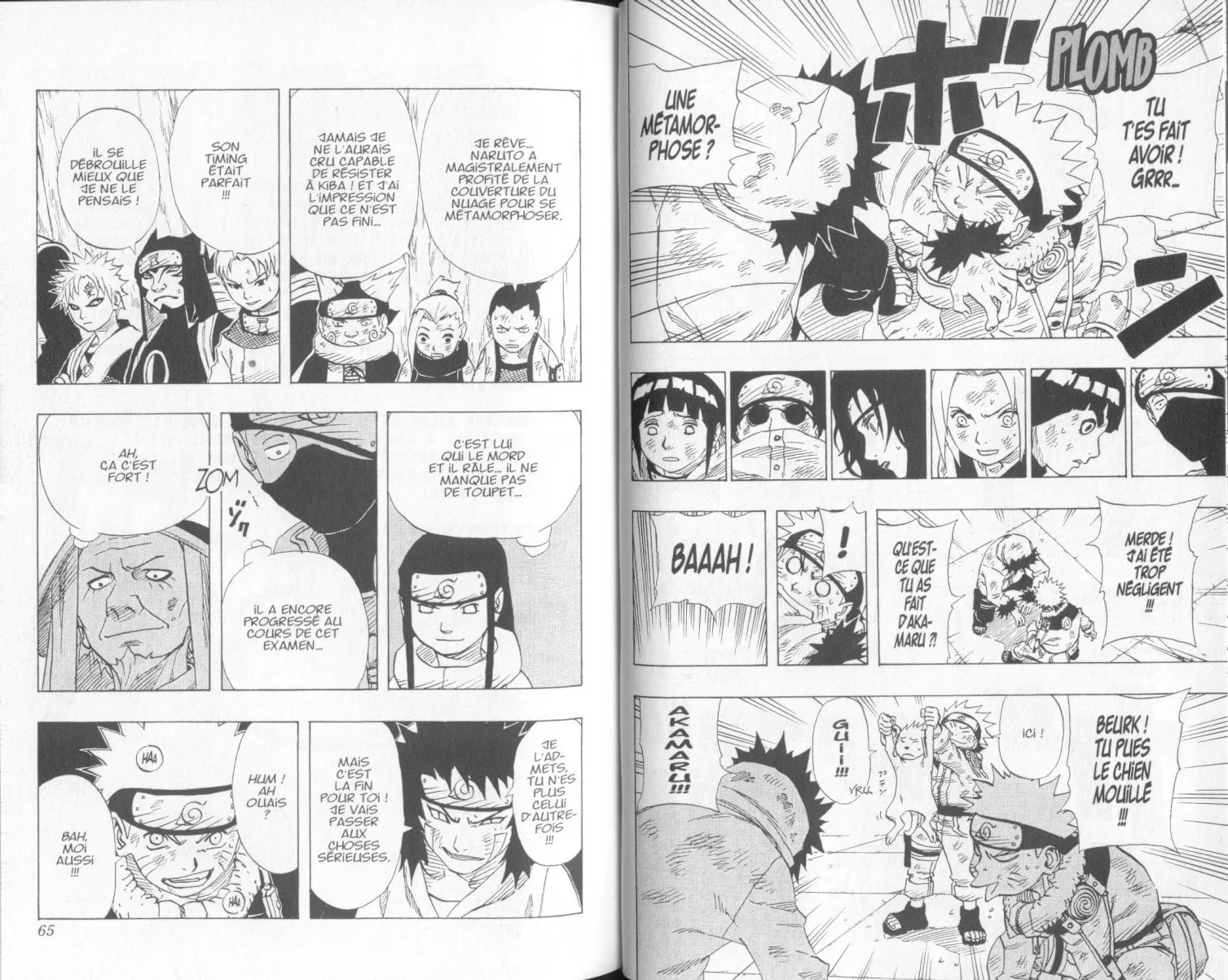 Naruto - 9 - 65537f1342b22.webp