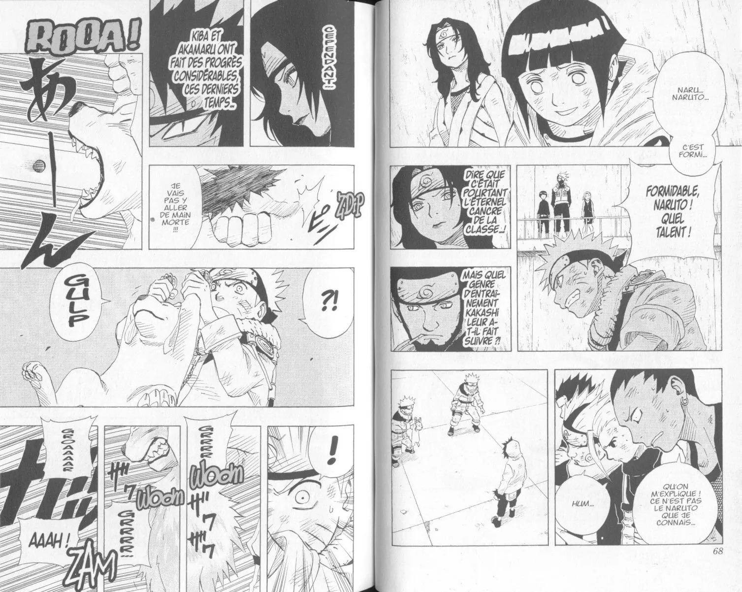 Naruto - 9 - 65537f1409184.webp