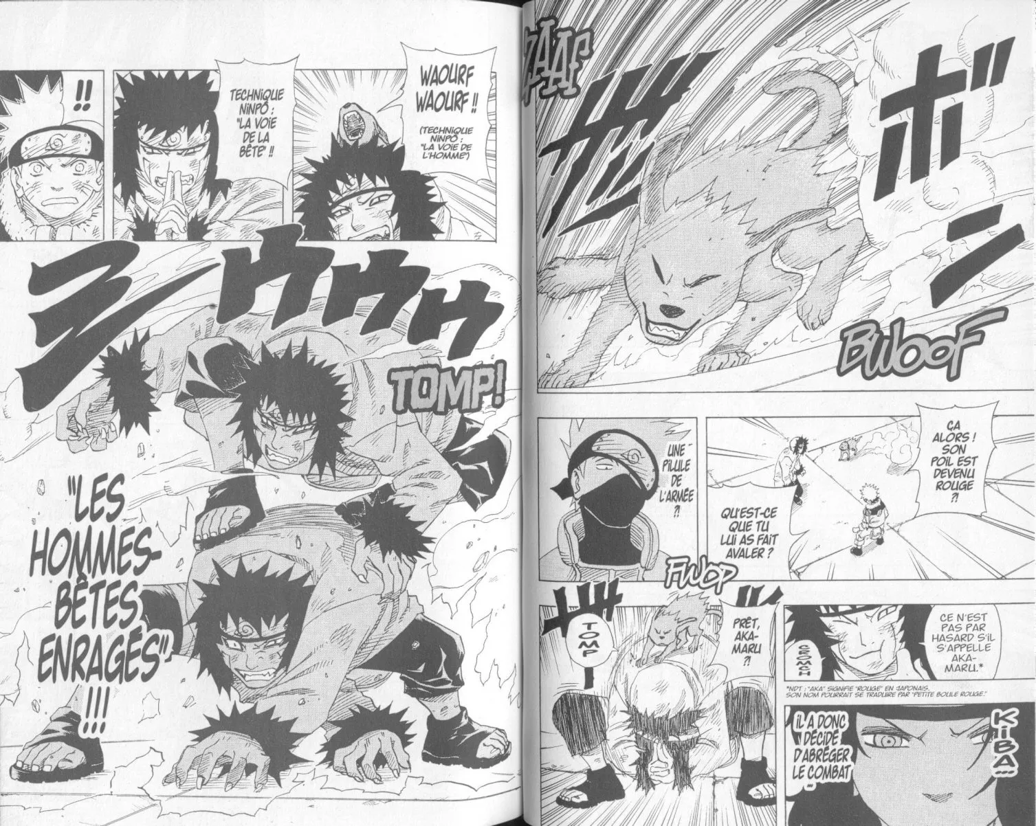 Naruto - 9 - 65537f1471636.webp