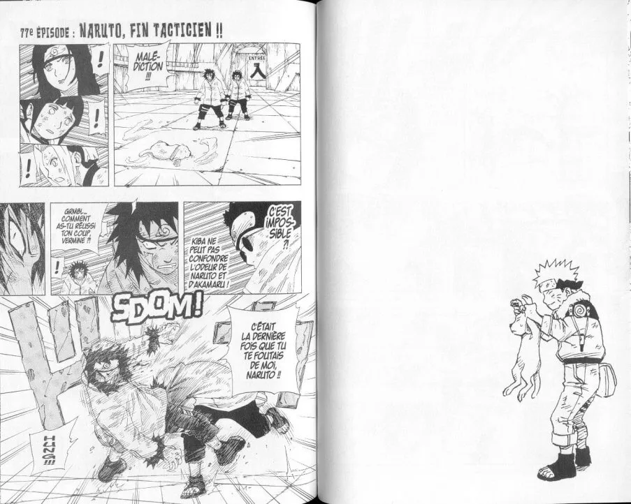 Naruto - 9 - 65537f15e82f0.webp