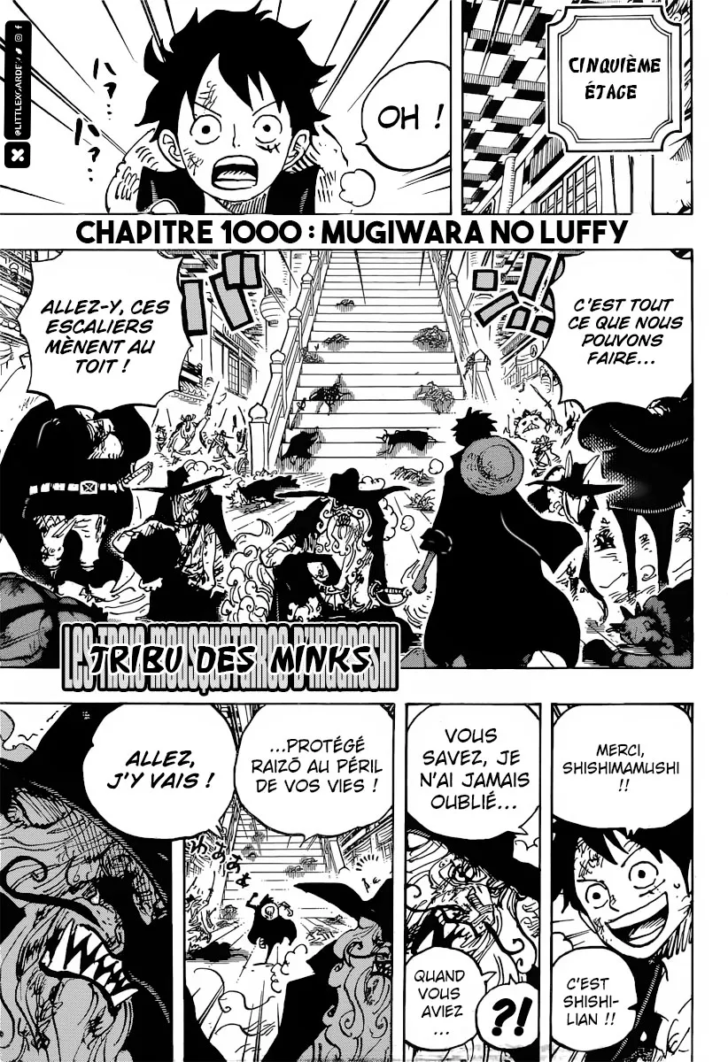 One Piece - 1000 - 6550da6f21011.webp