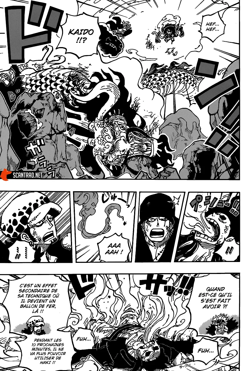 One Piece - 1003 - 6550da8718af2.webp