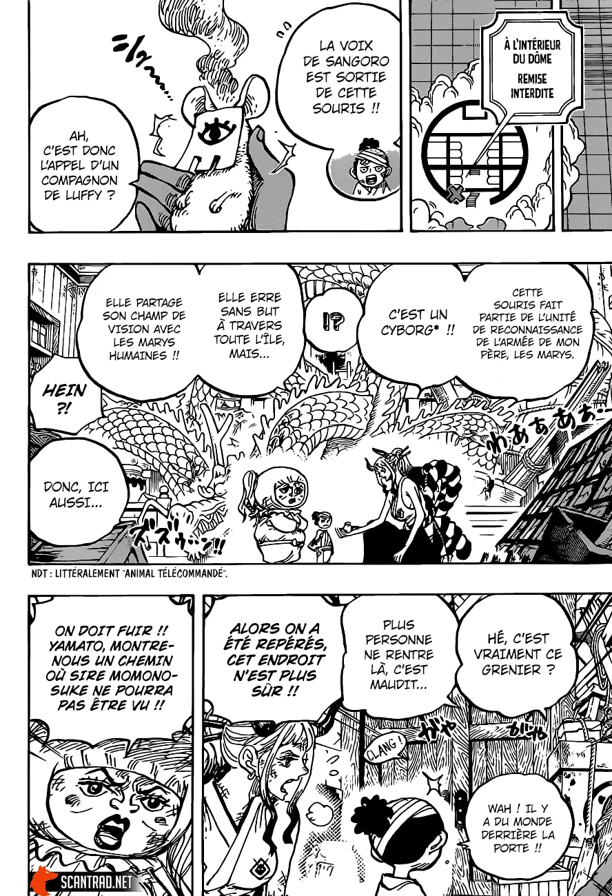 One Piece - 1005 - 6550da91dc5db.webp