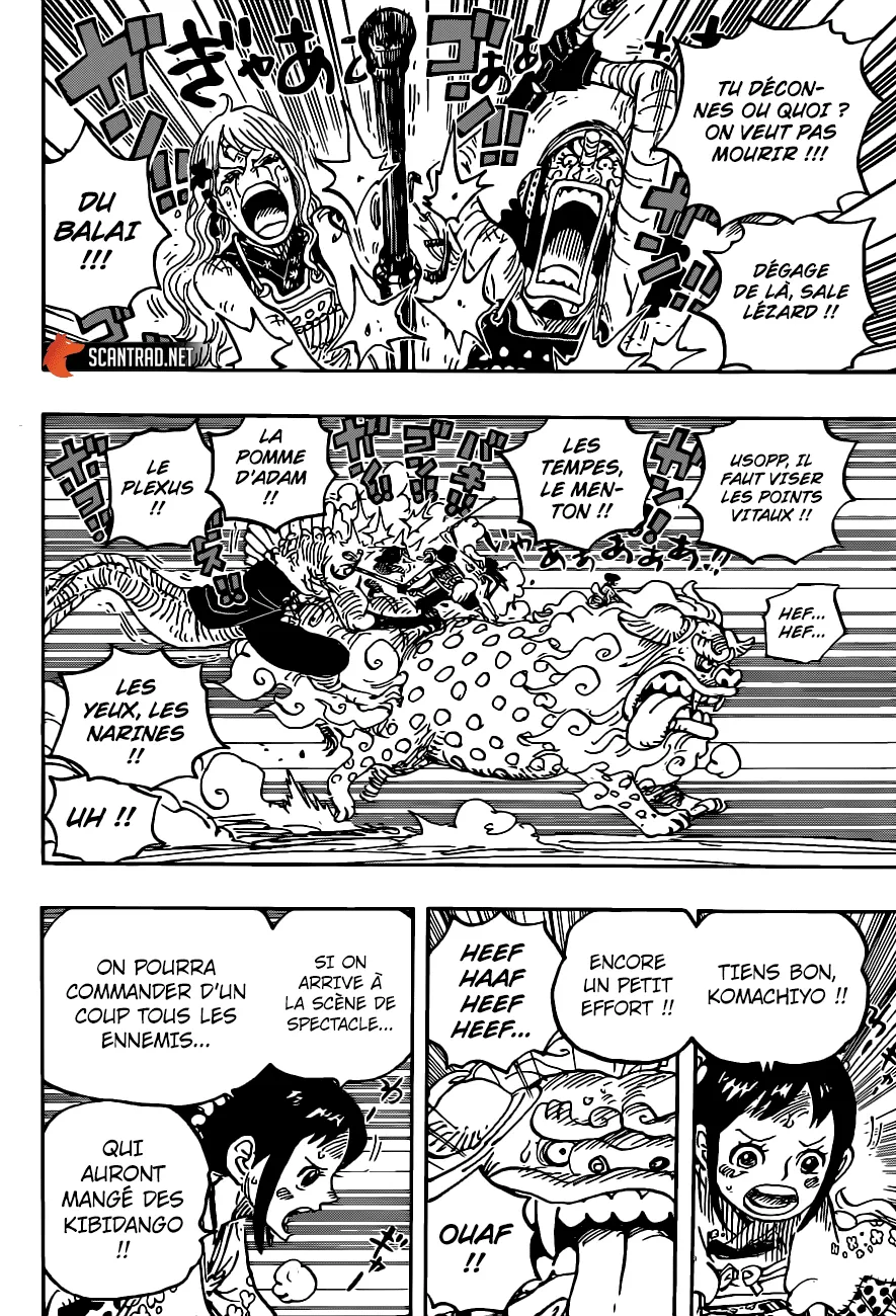 One Piece - 1011 - 6550dab163a91.webp