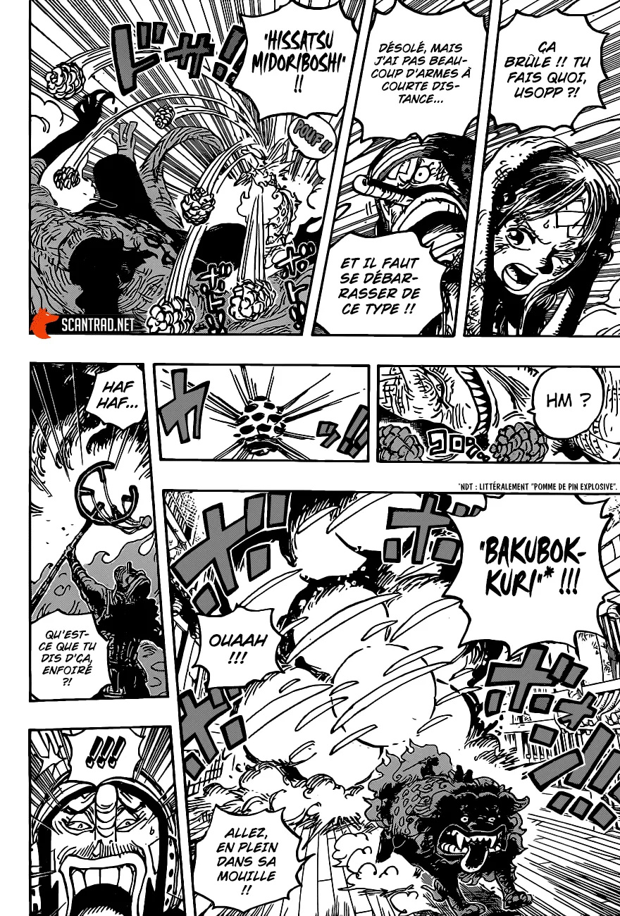 One Piece - 1011 - 6550dab1e2c10.webp