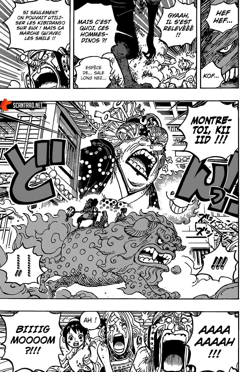 One Piece - 1011 - 6550dab22ef64.webp