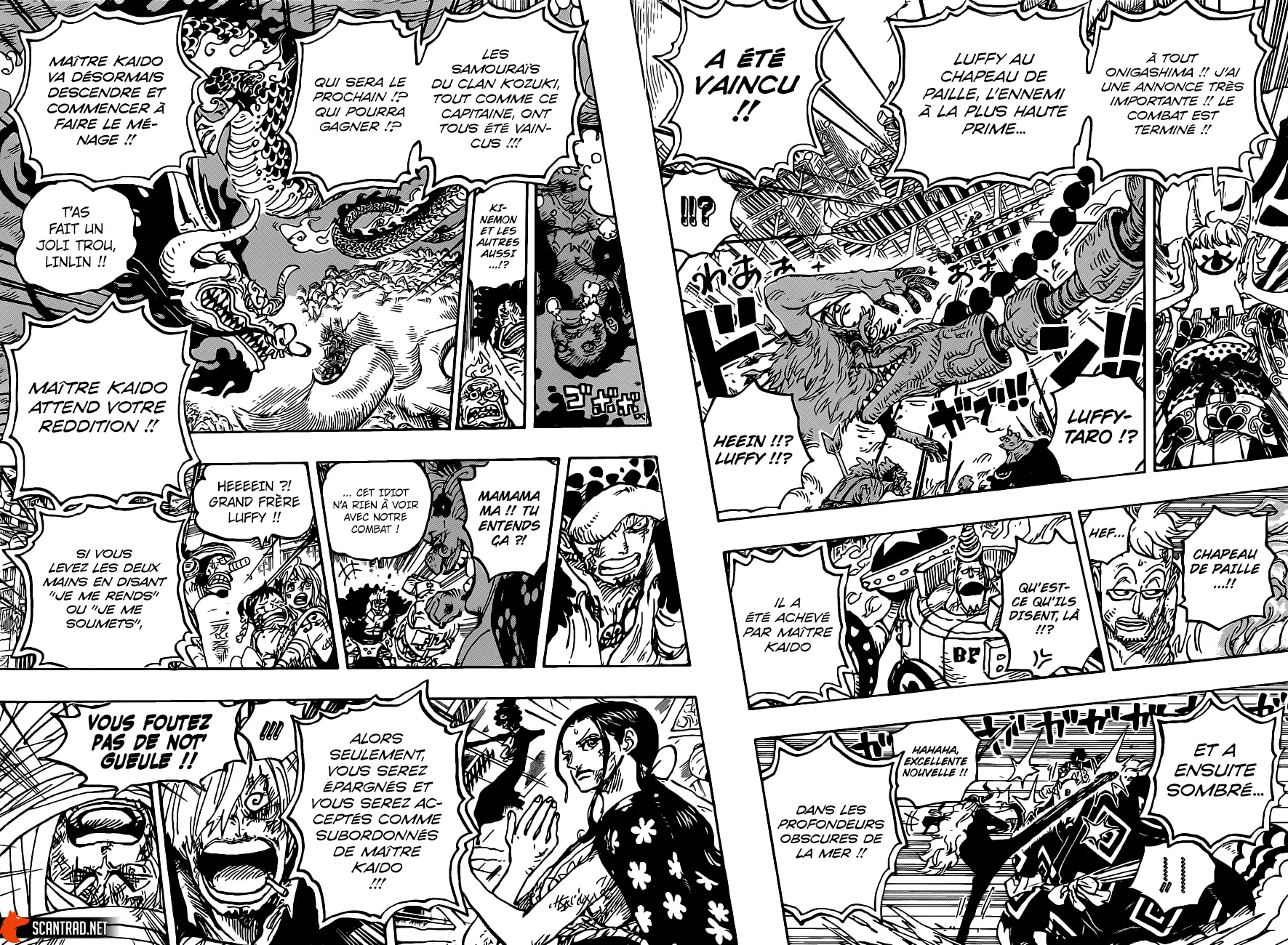 One Piece - 1014 - 6550dabfe768c.webp