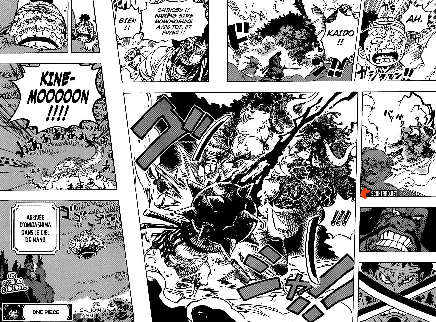One Piece - 1014 - 6550dac1e0606.webp