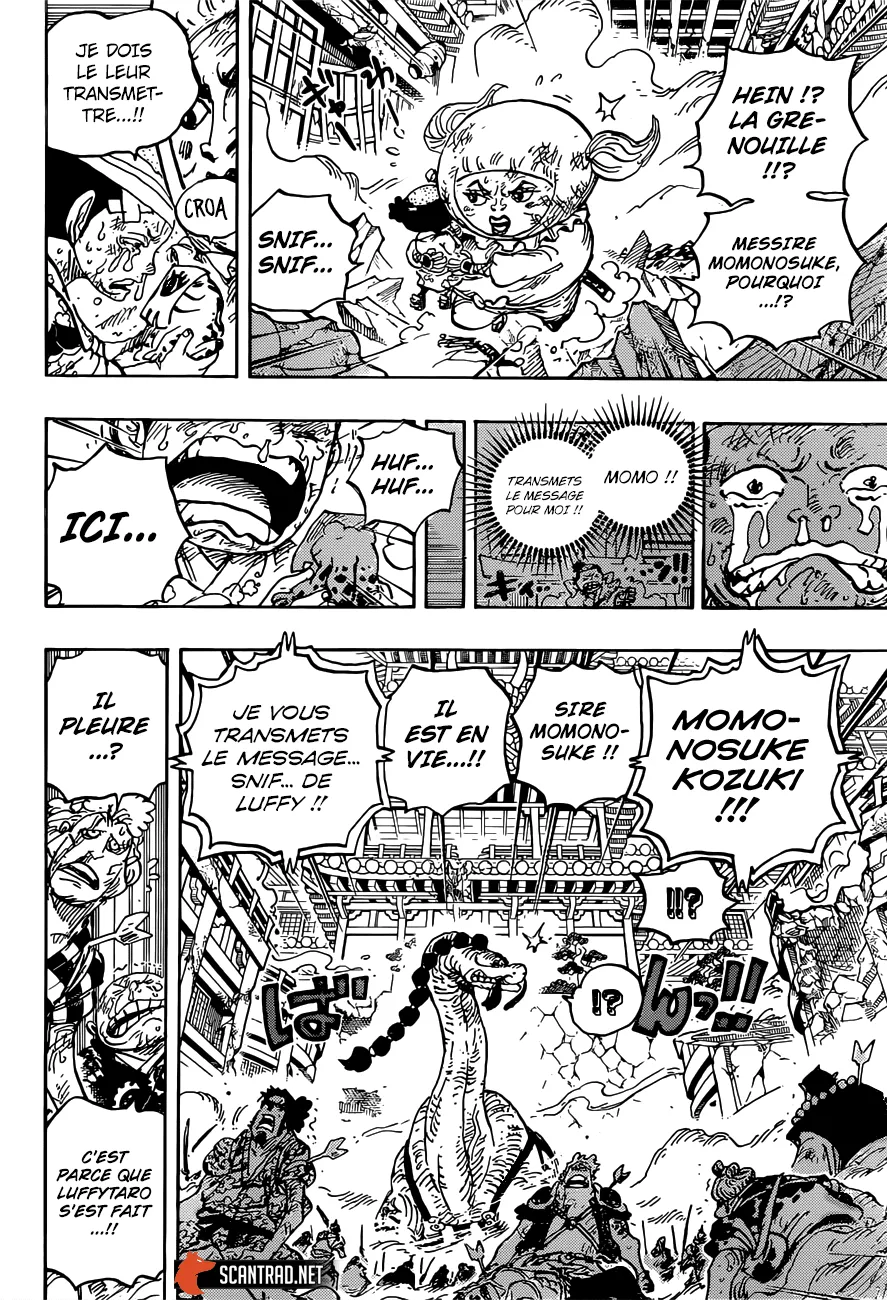 One Piece - 1015 - 6550dac5079f9.webp
