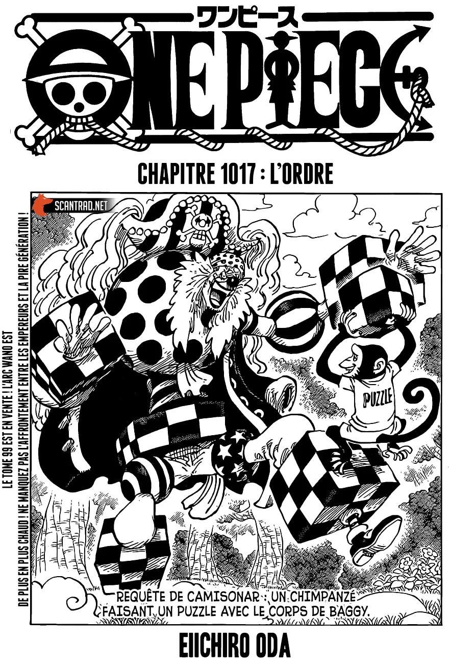 One Piece - 1017 - 6550dacc5c88e.webp