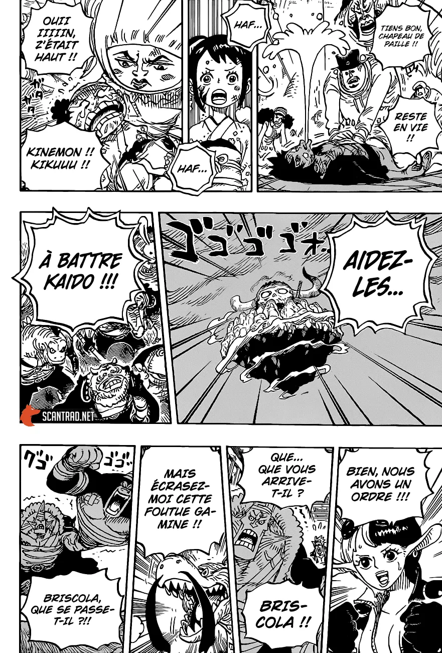 One Piece - 1017 - 6550dacda80bb.webp