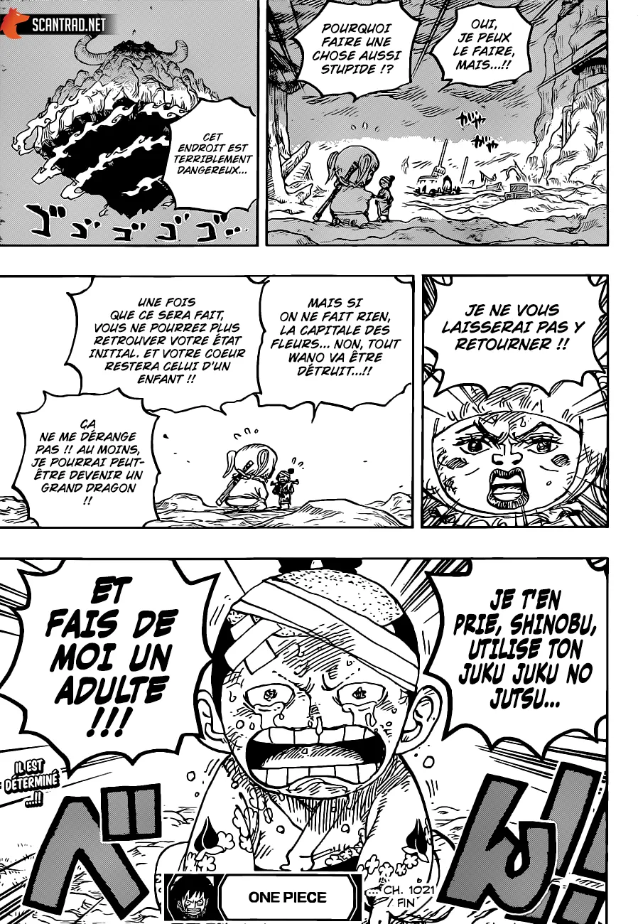 One Piece - 1021 - 6550daea0f46a.webp