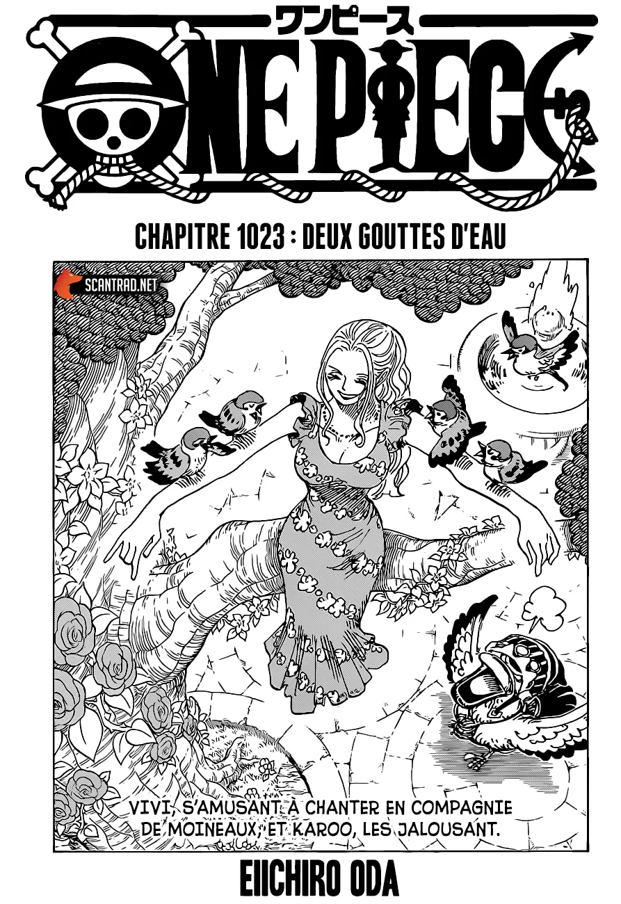 One Piece - 1023 - 6550daf267662.webp