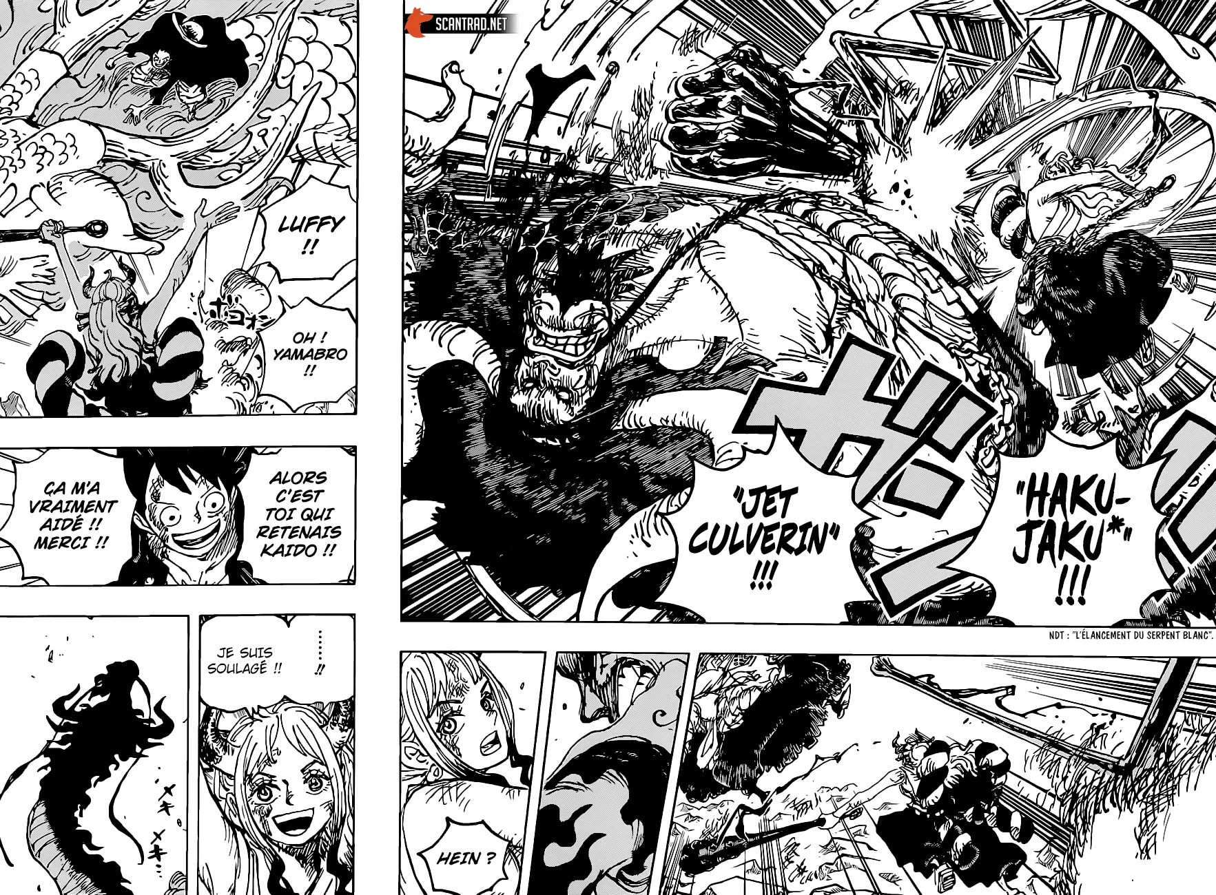 One Piece - 1025 - 6550db04b600c.webp