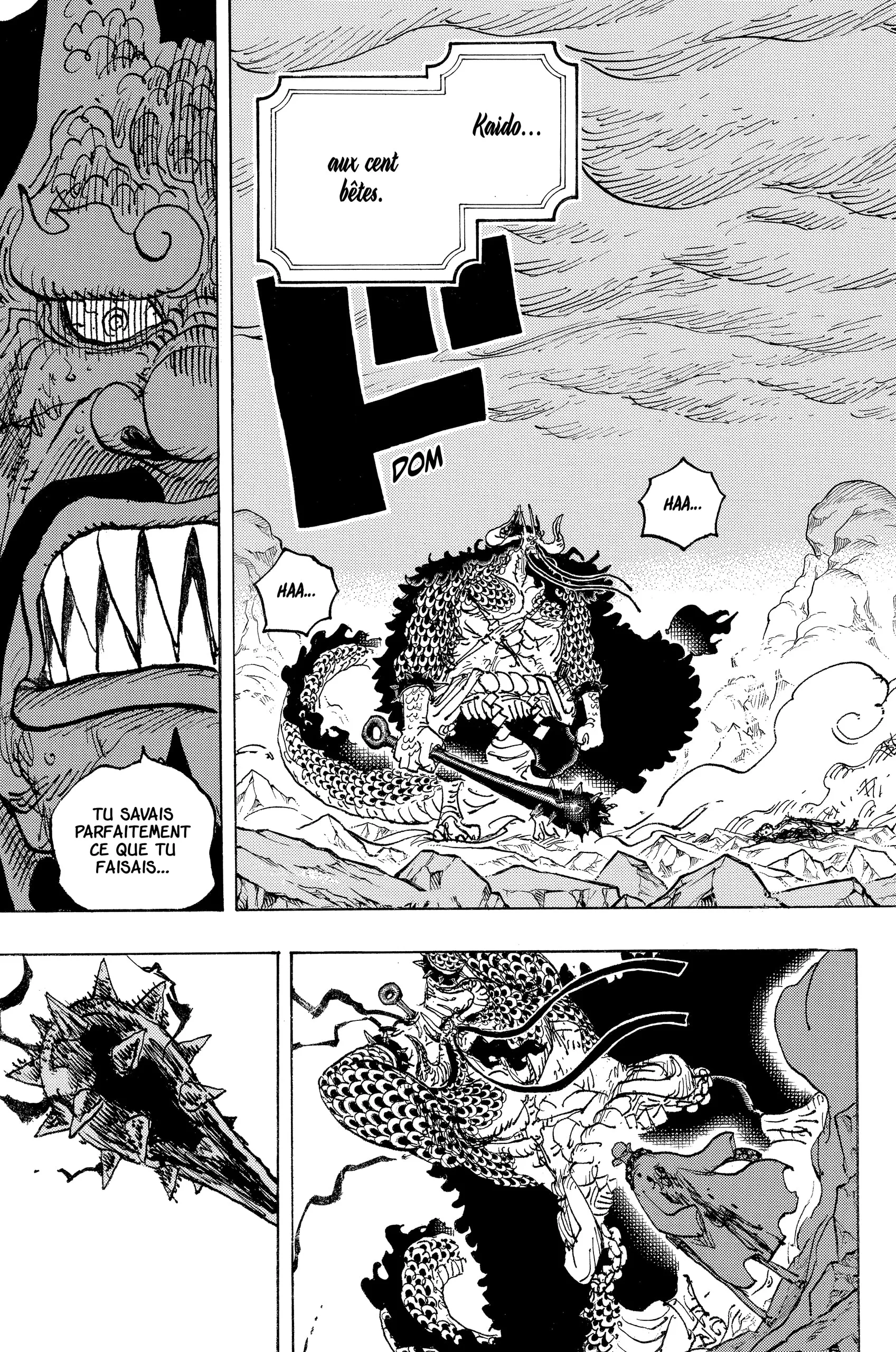 One Piece - 1043 - 6550dbc2e027f.webp