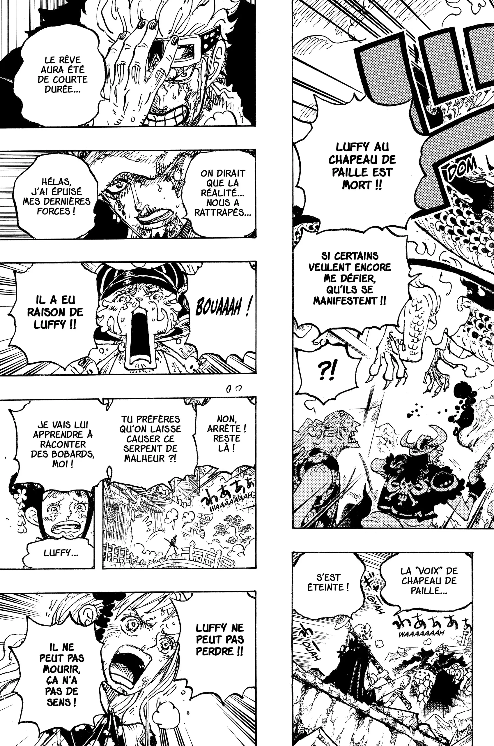 One Piece - 1043 - 6550dbc610d57.webp