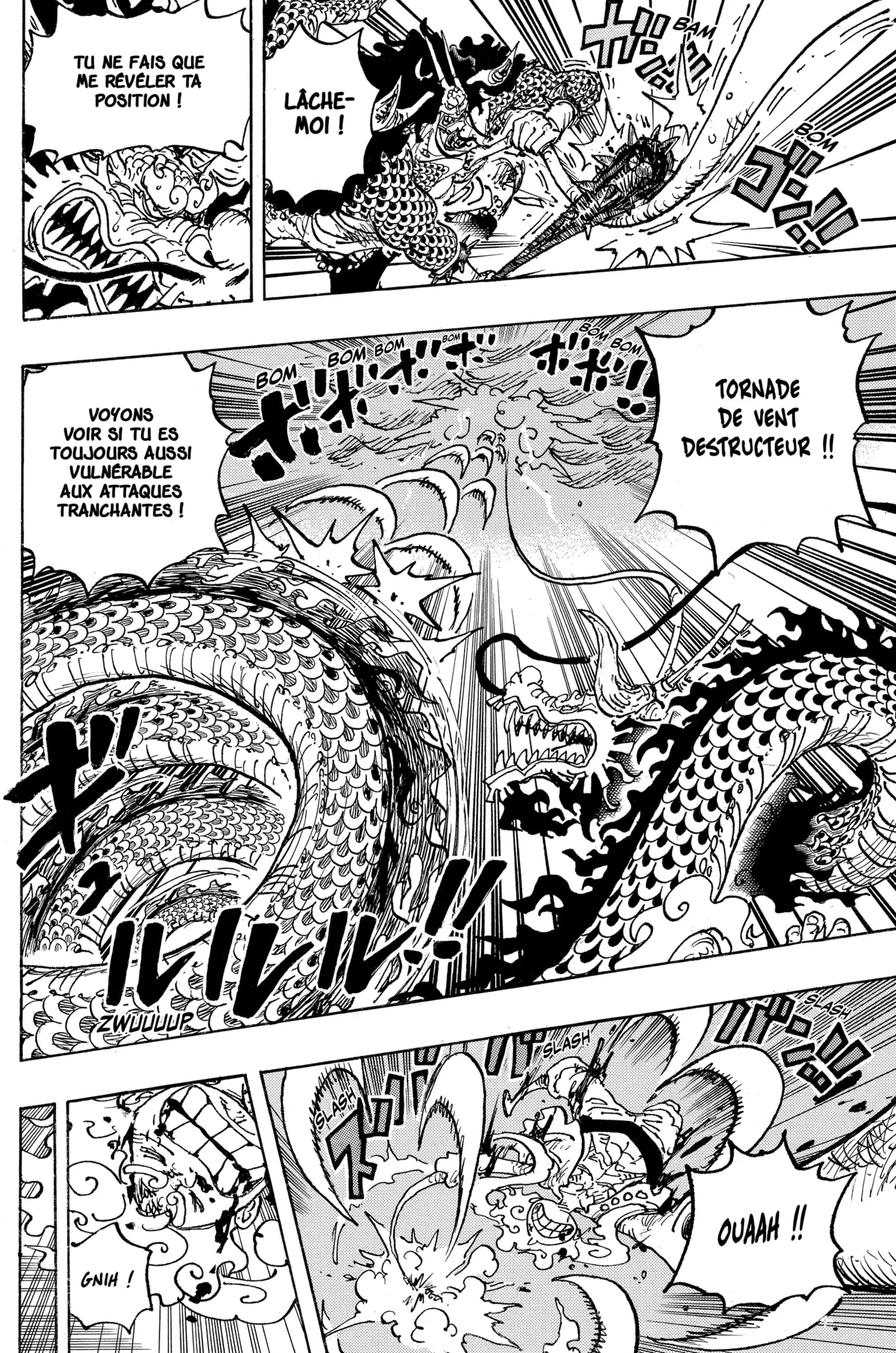 One Piece - 1047 - 6550dbffd13dc.webp