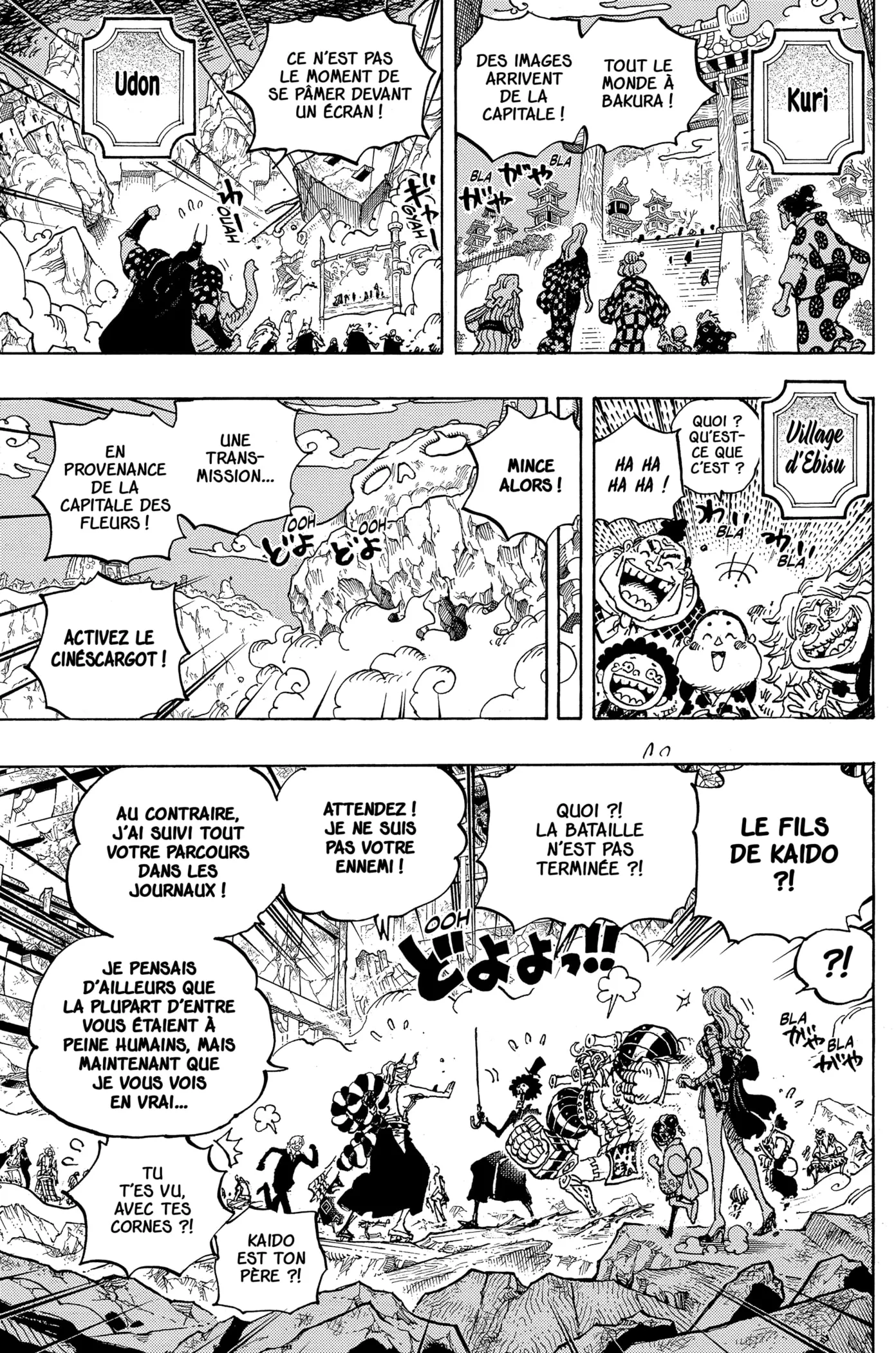 One Piece - 1051 - 6550dc334c19f.webp