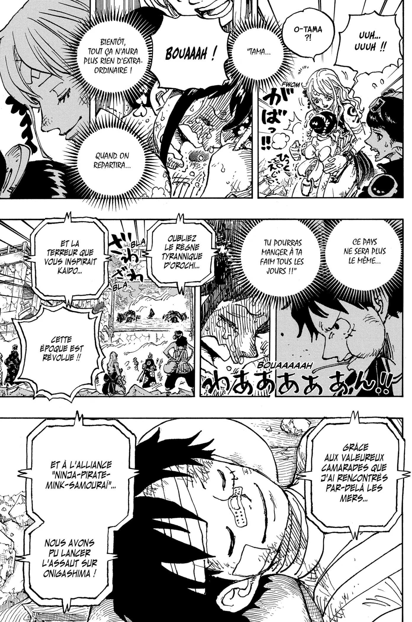 One Piece - 1051 - 6550dc373ff71.webp