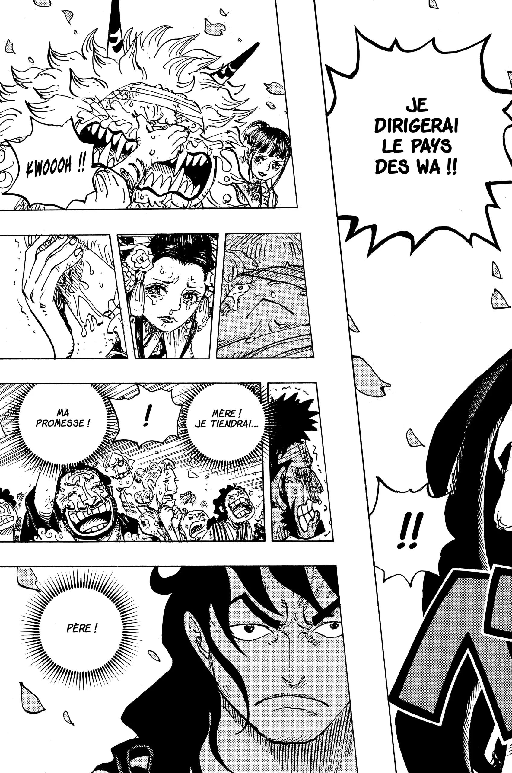 One Piece - 1051 - 6550dc3a5fa3e.webp