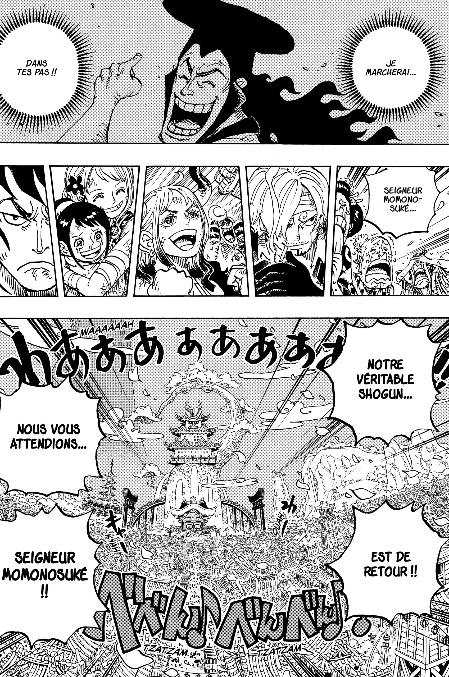 One Piece - 1051 - 6550dc3b96186.webp