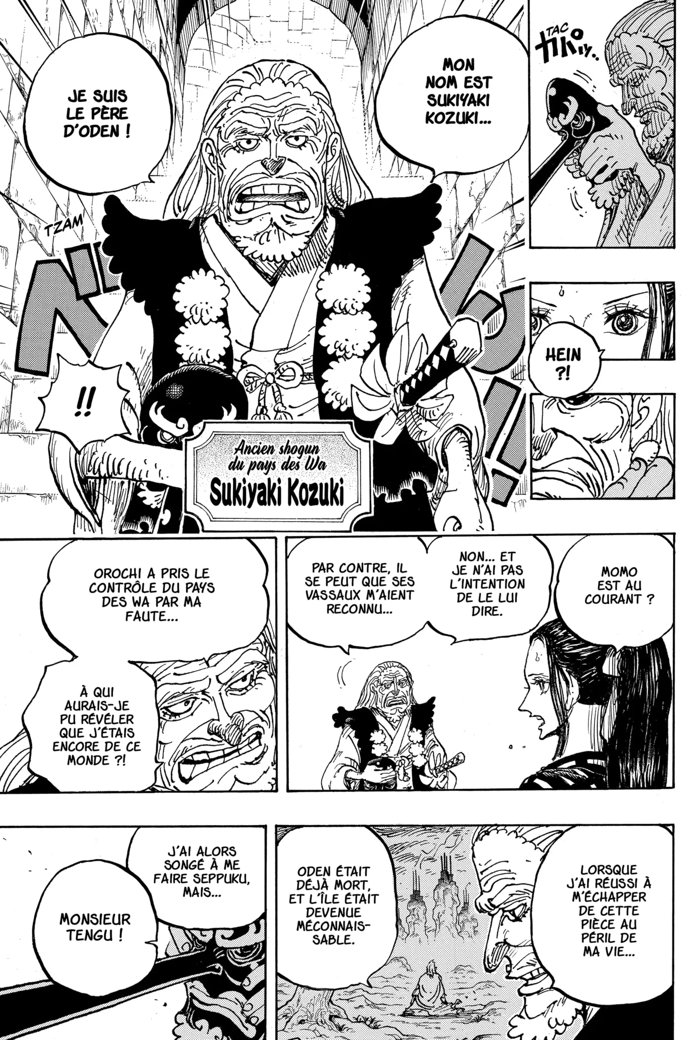 One Piece - 1053 - 6550dc5279efd.webp