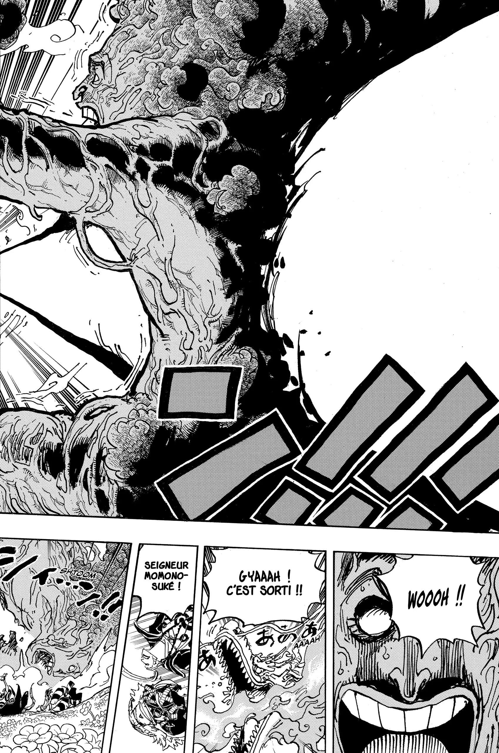 One Piece - 1055 - 6550dc892b23d.webp