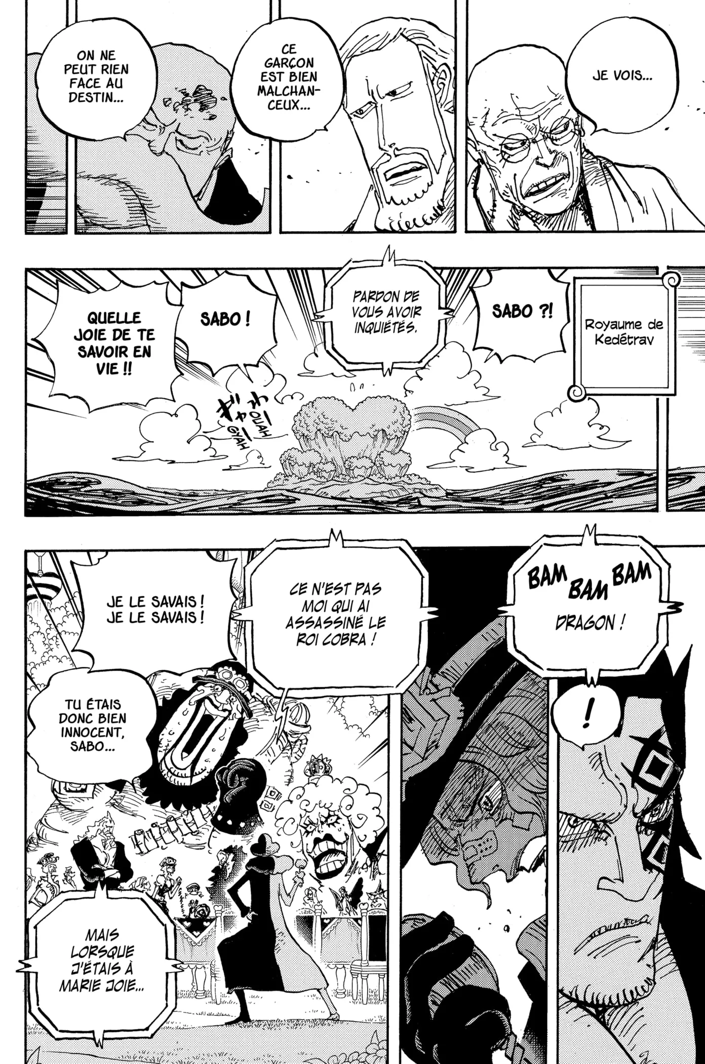 One Piece - 1060 - 6550dcc54c560.webp