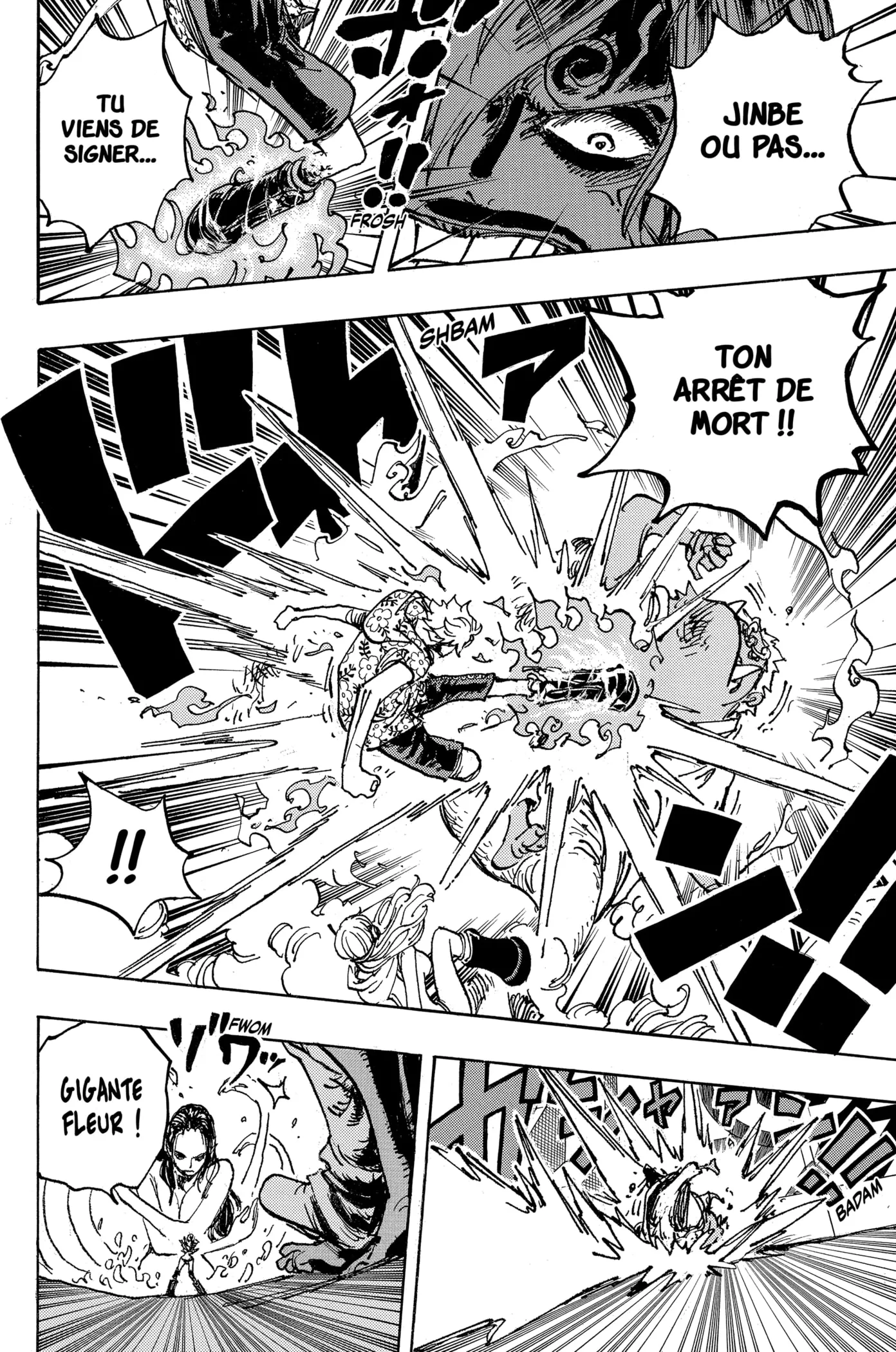 One Piece - 1065 - 6550dd0189f2a.webp