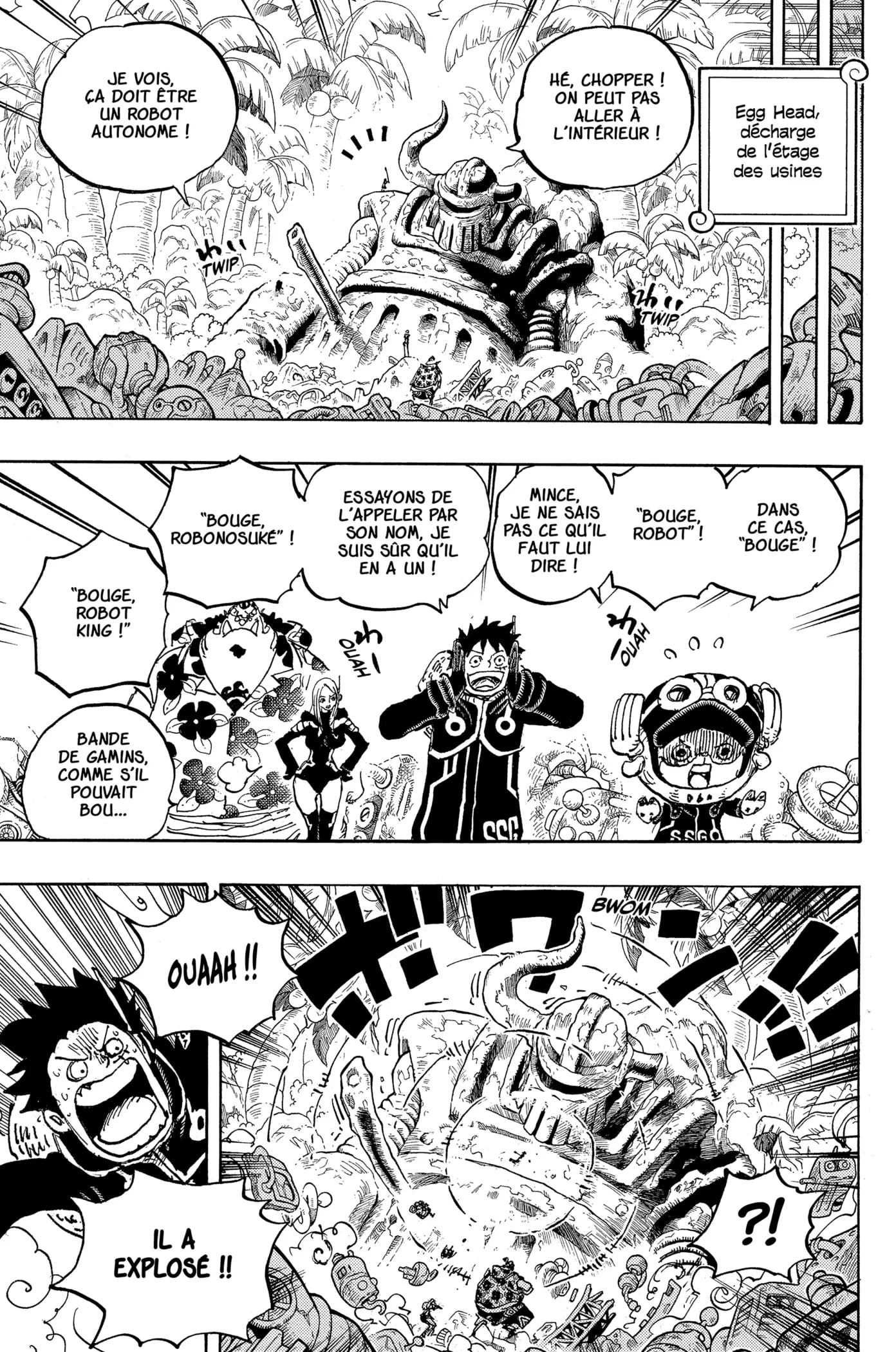 One Piece - 1066 - 6550dd125c8dc.webp
