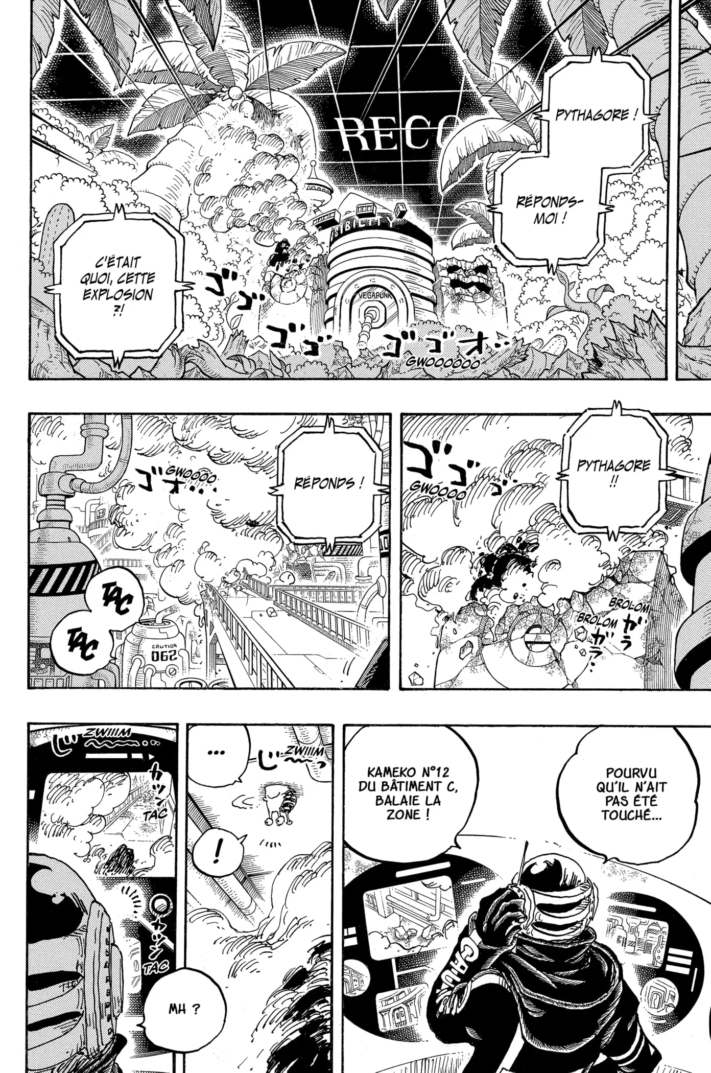 One Piece - 1075 - 6550dd71e458b.webp