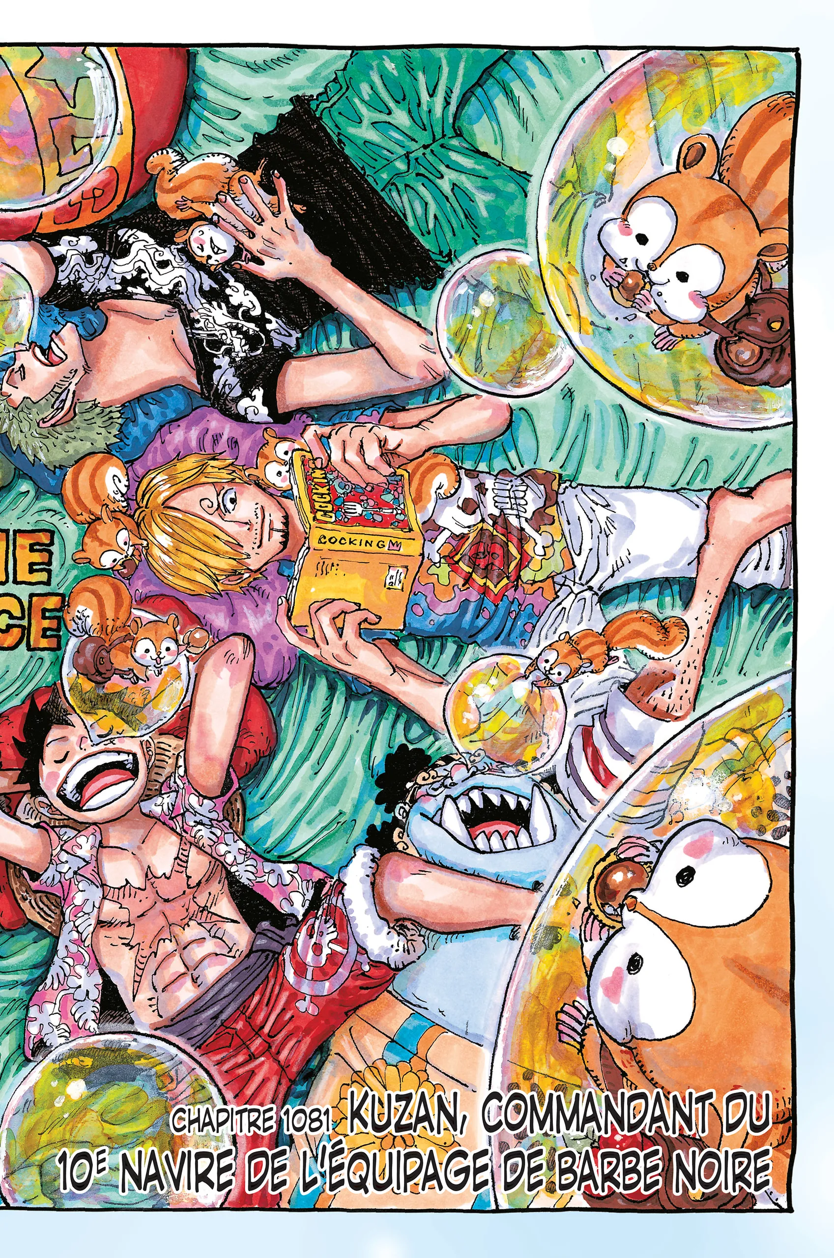 One Piece - 1081 - 6550ddb8eeecd.webp