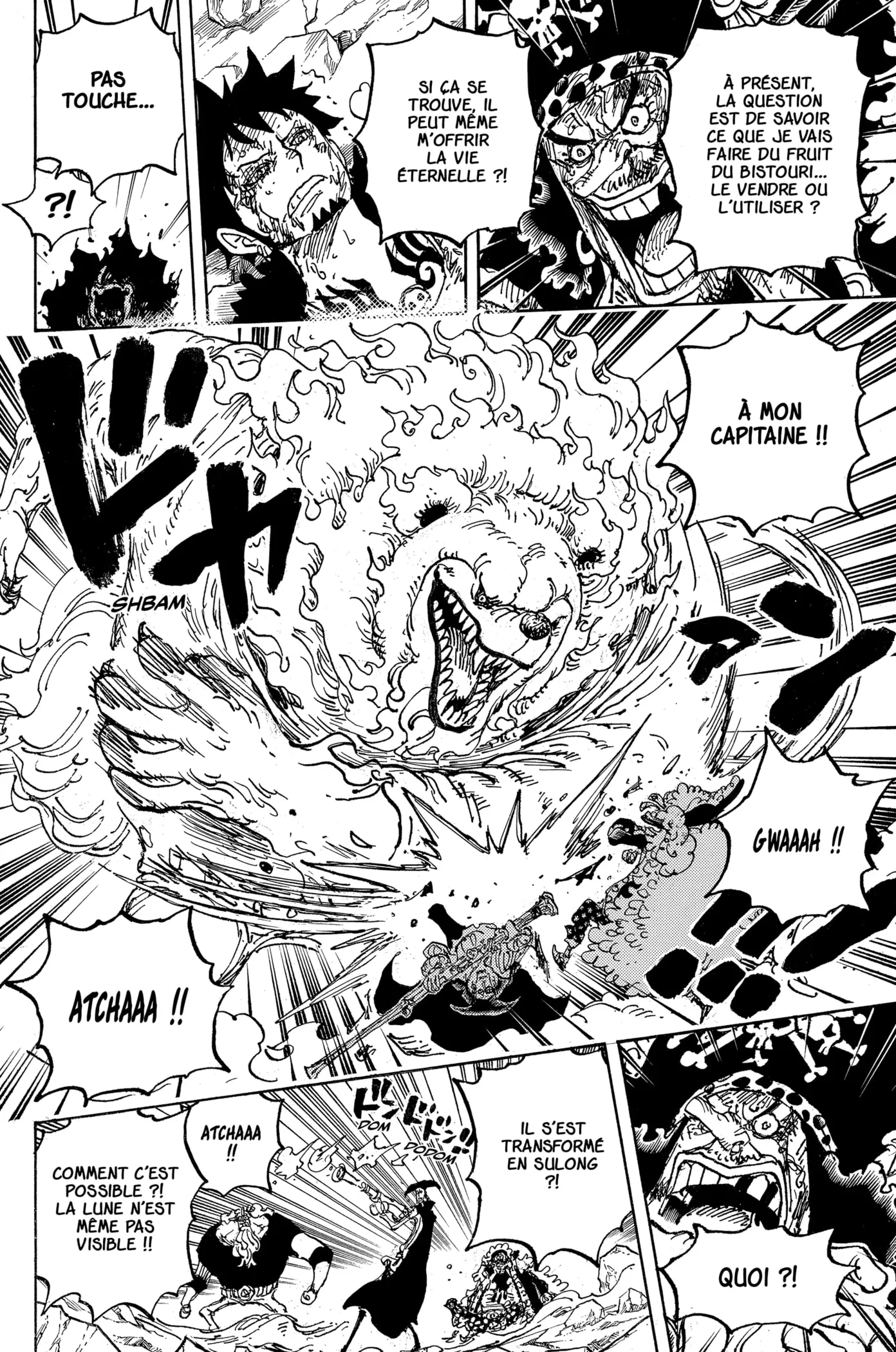 One Piece - 1081 - 6550ddc8604a0.webp