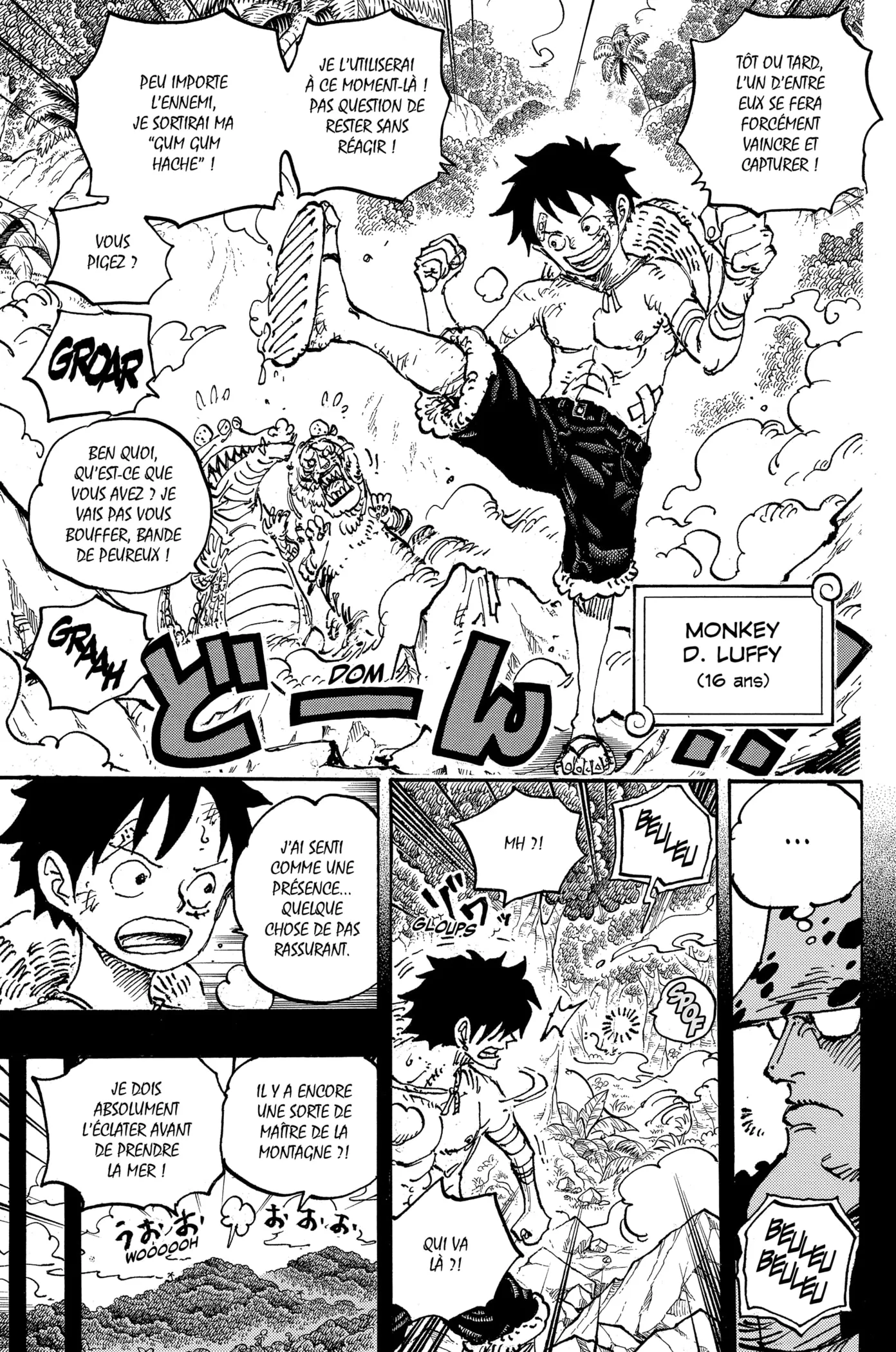 One Piece - 1101 - 6575d5eb97d45_O1x0.webp