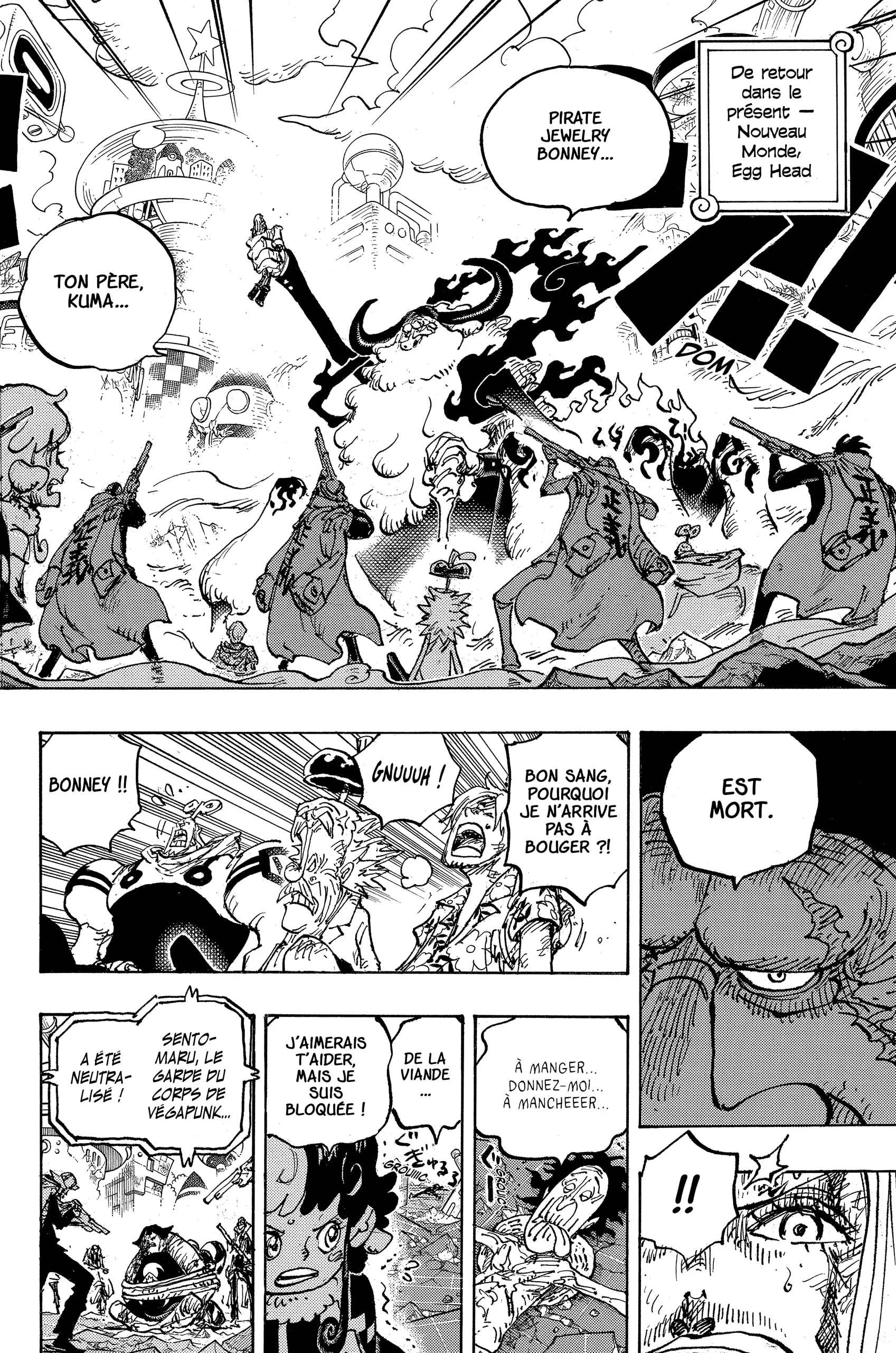 One Piece - 1103 - 65981dcd0b35e_pdD7.webp