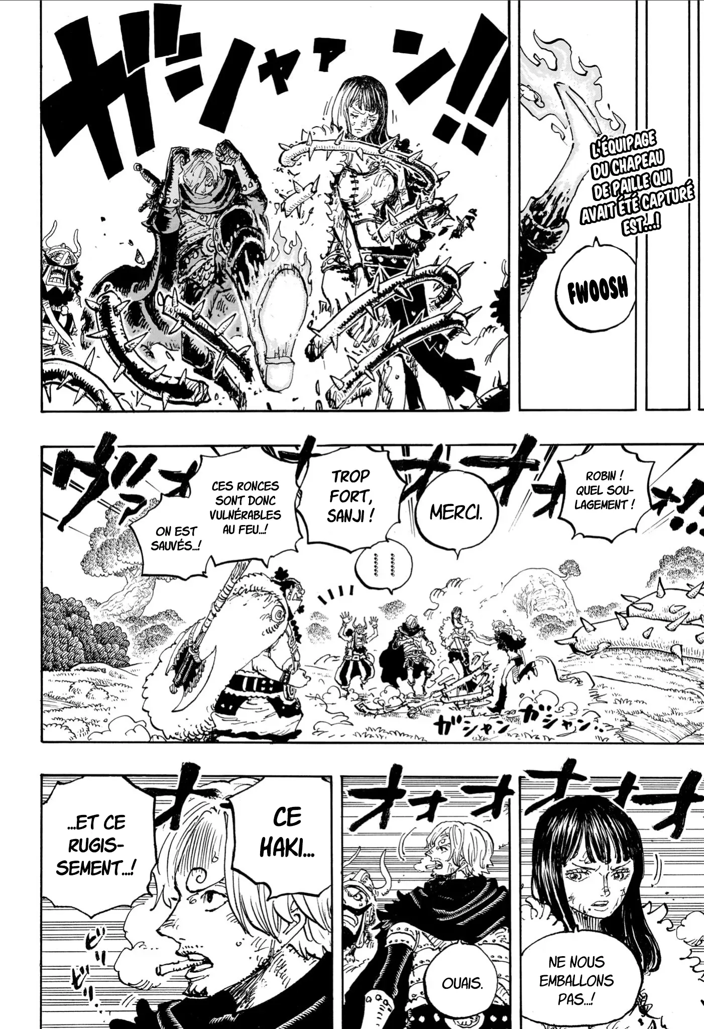 One Piece - 1175 - 69a206ee56c49_CU5s.webp