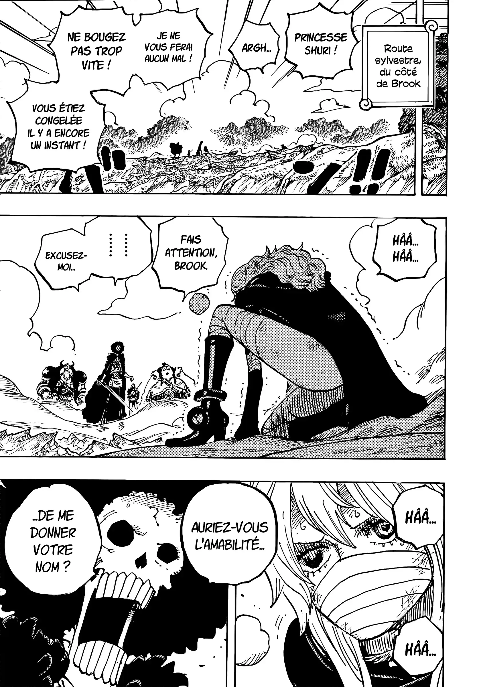 One Piece - 1195 - 6ac7ad367a3ea_coWI.webp
