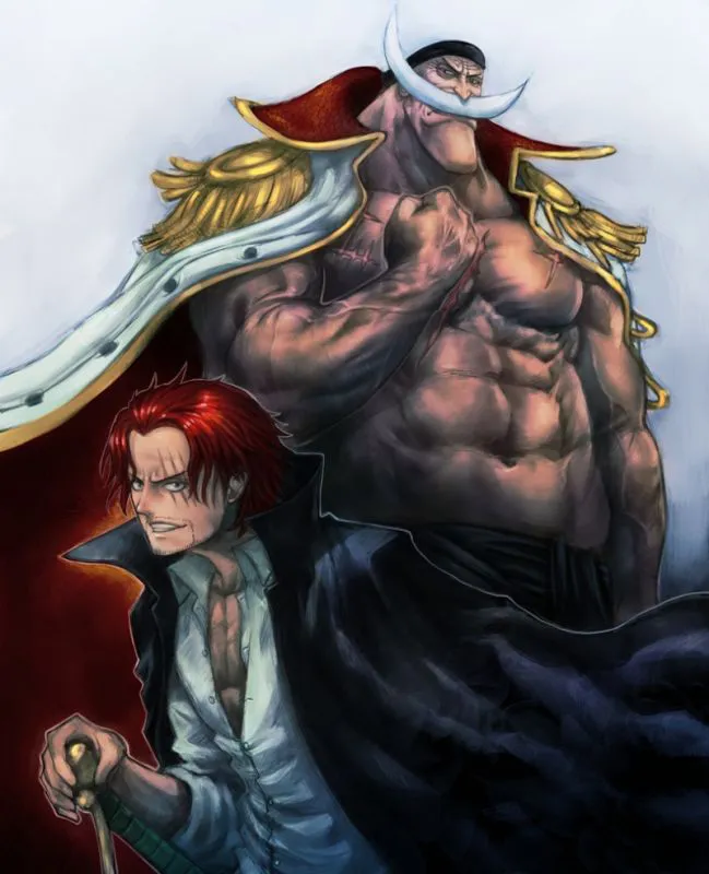 One Piece - 736 - 6550df25a6023.webp