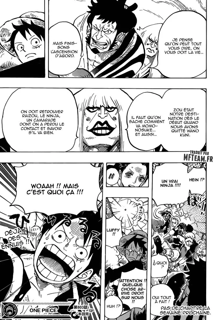One Piece - 803 - 6550e06b99f66.webp