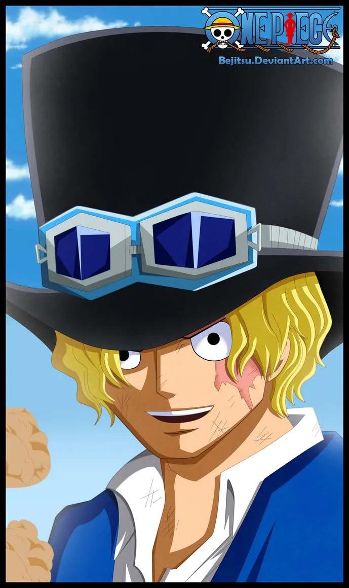 One Piece - 808 - 6550e086b29e9.webp
