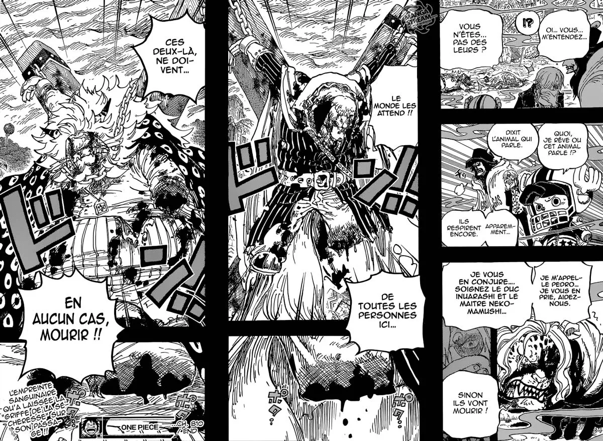 One Piece - 810 - 6550e090a36e8.webp