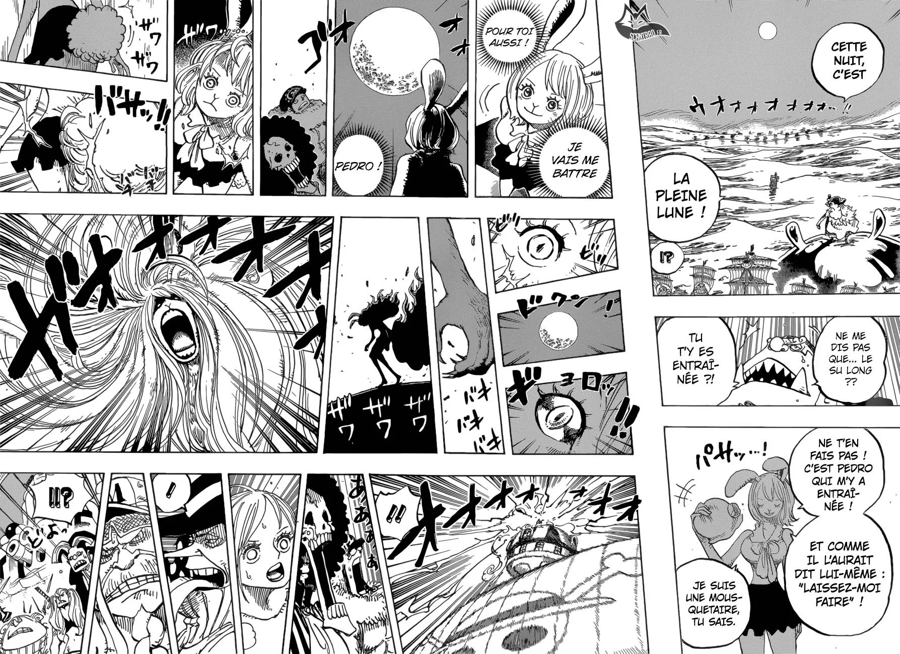 One Piece - 888 - 6550e213e6665.webp