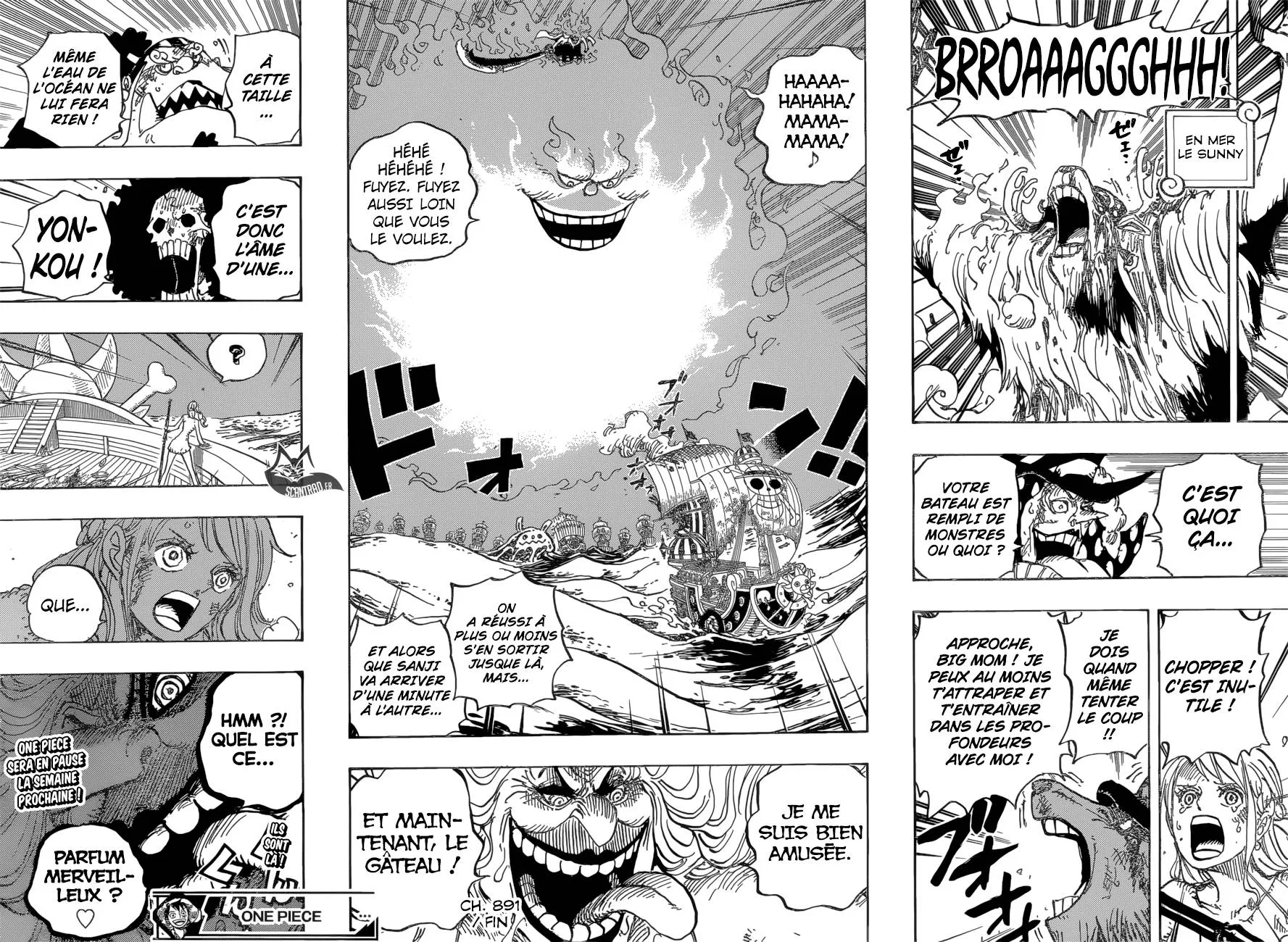 One Piece - 891 - 6550e227c1b7f.webp