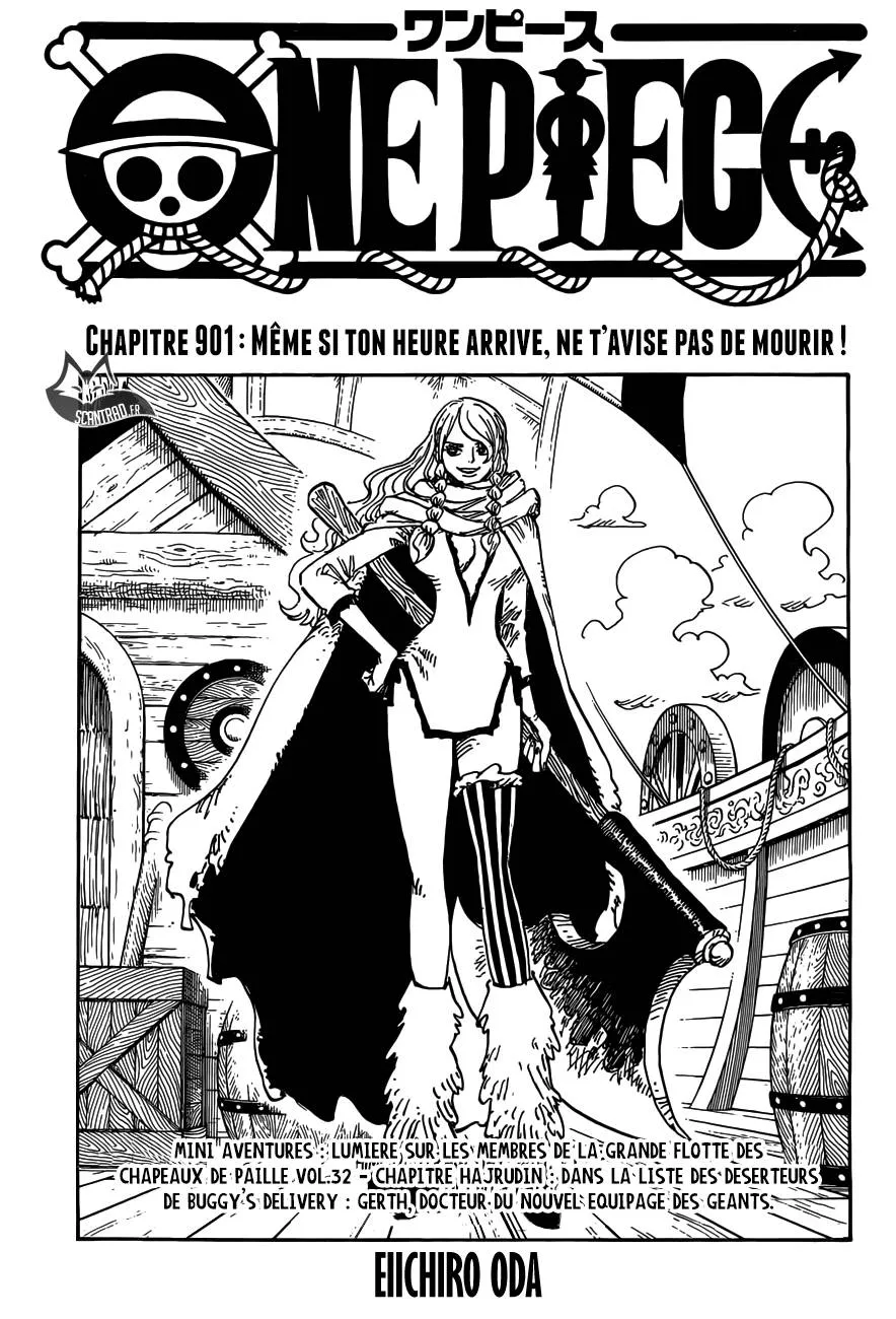 One Piece - 901 - 6550e25b085f7.webp