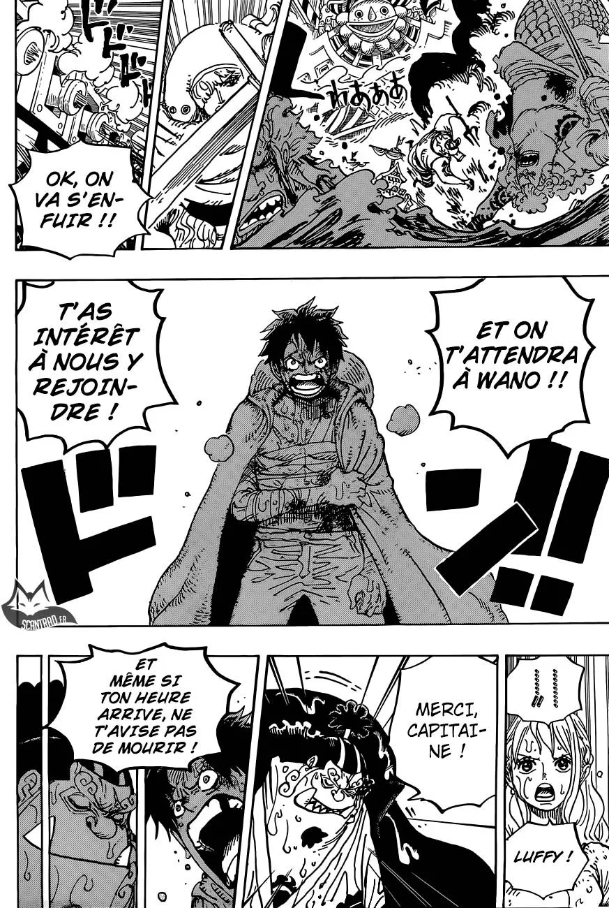One Piece - 901 - 6550e25e81c20.webp