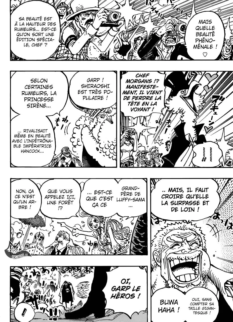 One Piece - 905 - 6550e2732c230.webp