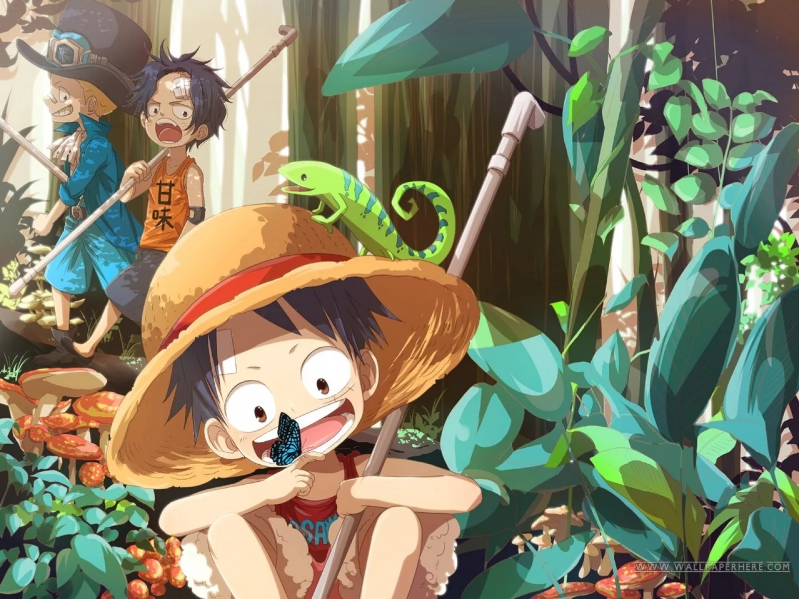 One Piece - 906 - 6550e27cd78bf.webp