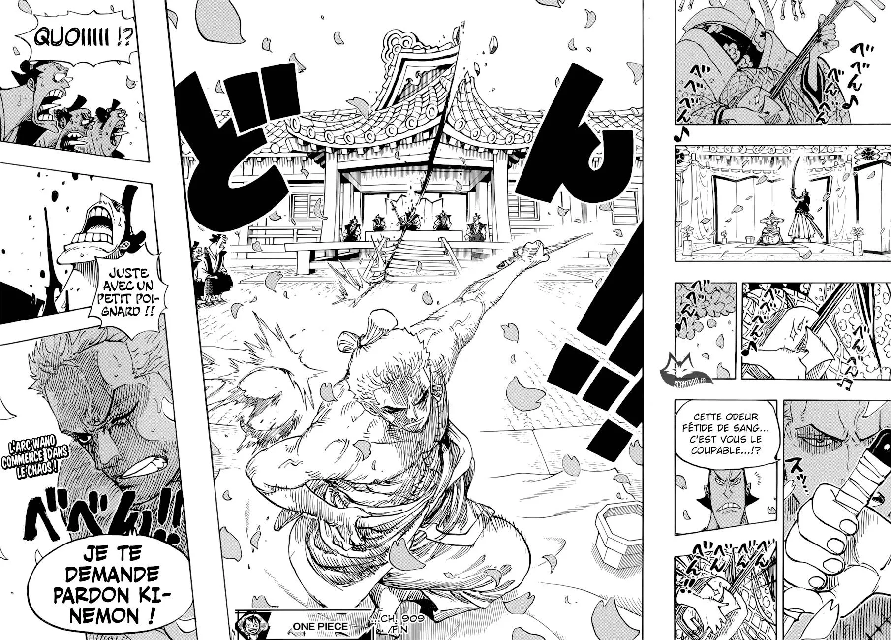 One Piece - 909 - 6550e28b7732f.webp